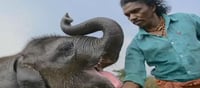 ఇండియన్ డాక్యుమెంటరీకి ఆస్కార్ అవార్డ్!